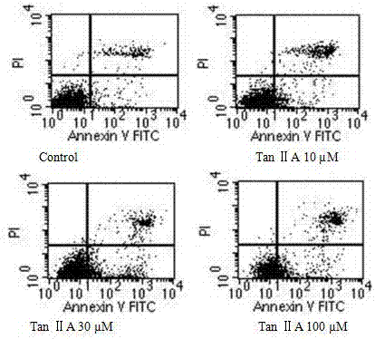 Application of Tanshinone IIA serving as human neuroastrocytoma resistant drug