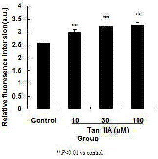 Application of Tanshinone IIA serving as human neuroastrocytoma resistant drug