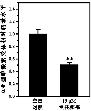 Application of ritonavir as estrogen receptor modulator