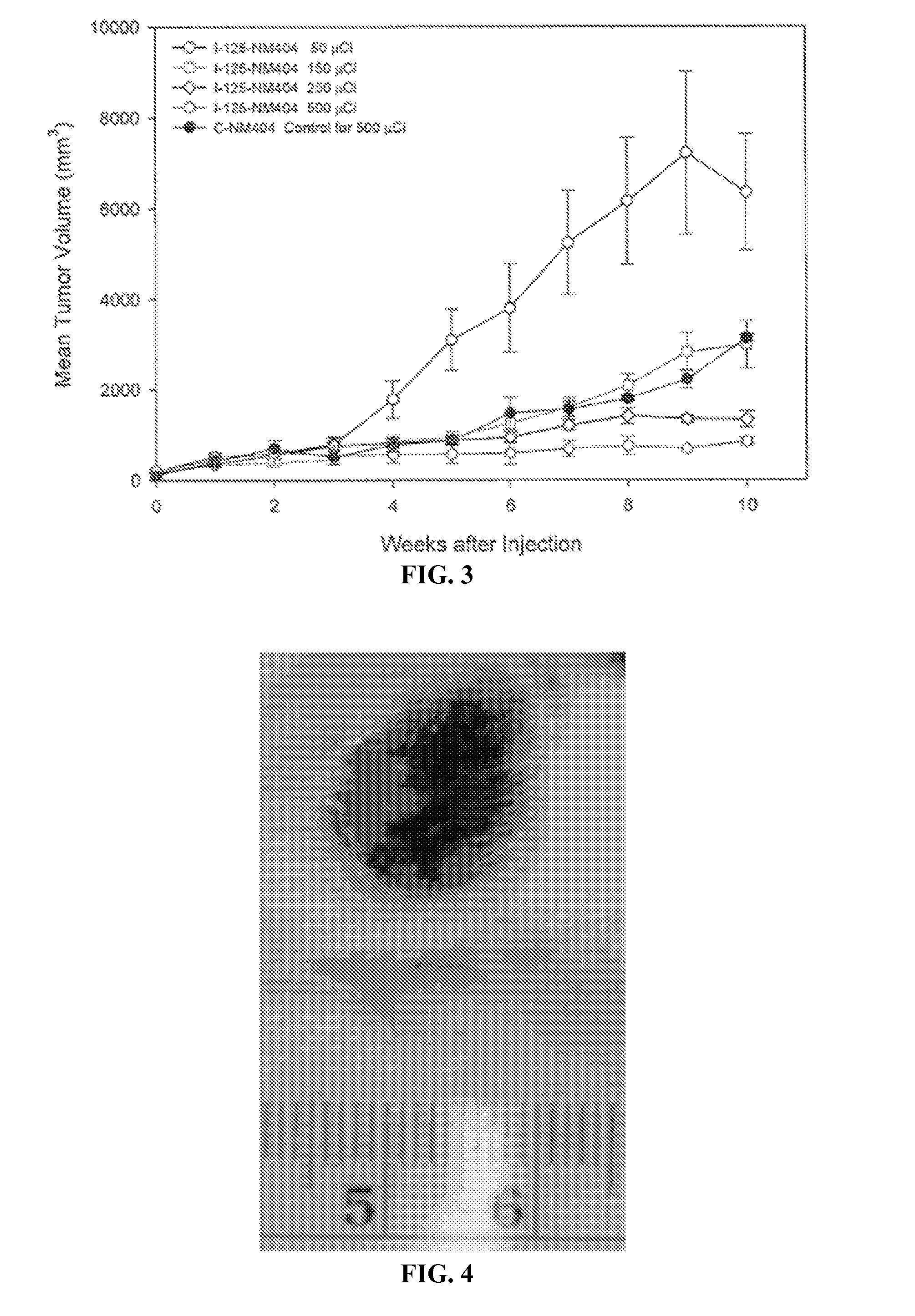 Compositions of phospholipid ether boronic acids and esters and methods for their synthesis and use