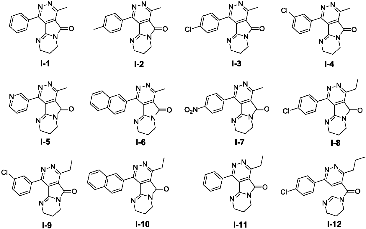 Pyrimido-pyrrolopyridazine derivative as well as intermediate, preparation method, pharmaceutical composition and application