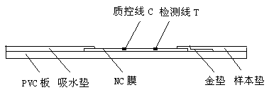 Method for detecting fertility of sheep