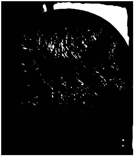 Preparation method of single domain GdBaCuO superconductor block