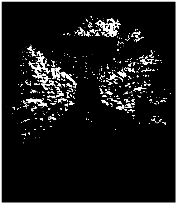 Preparation method of single domain GdBaCuO superconductor block