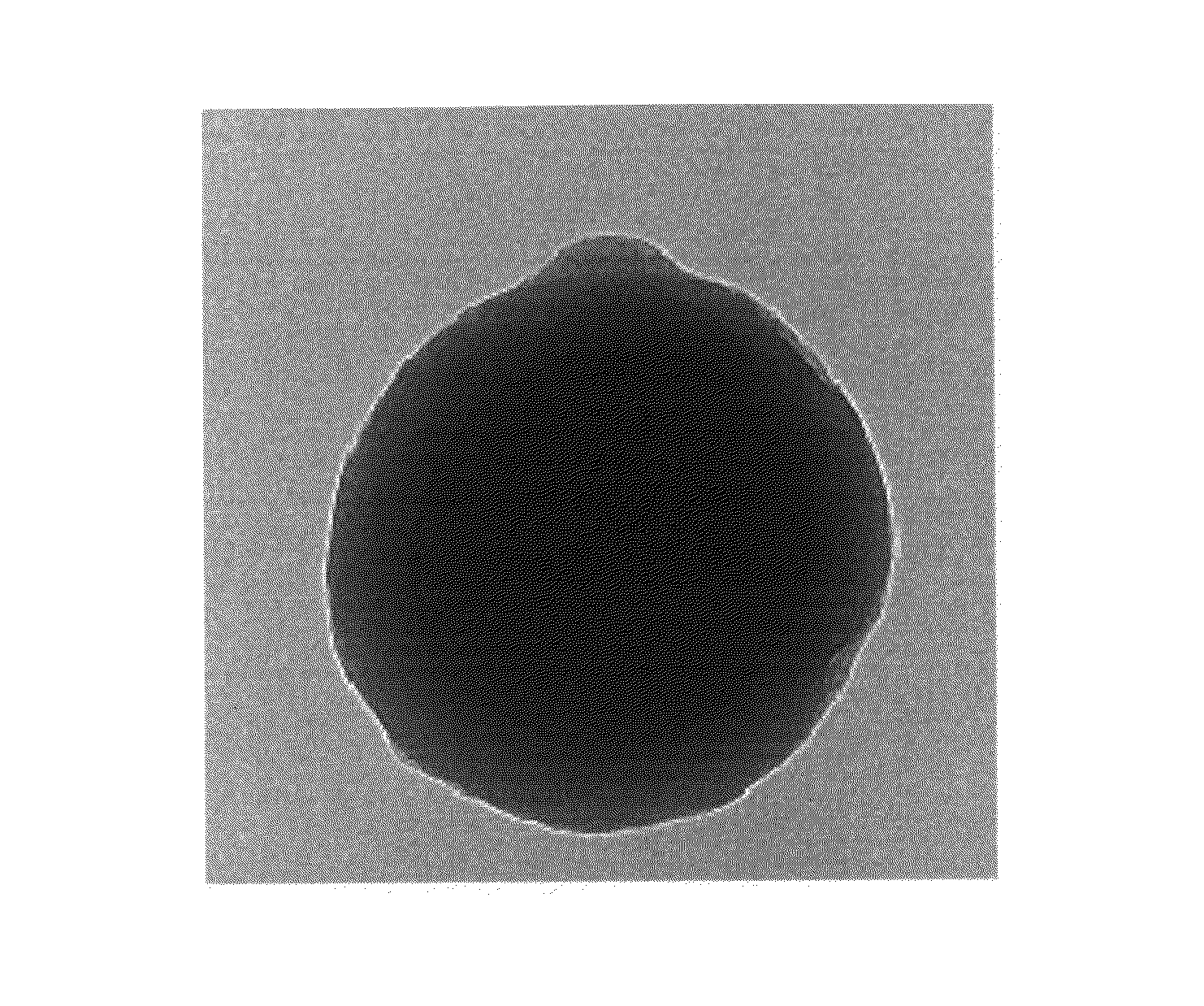 Surface enhanced raman scattering nano-tagging particle and method for preparing thereof