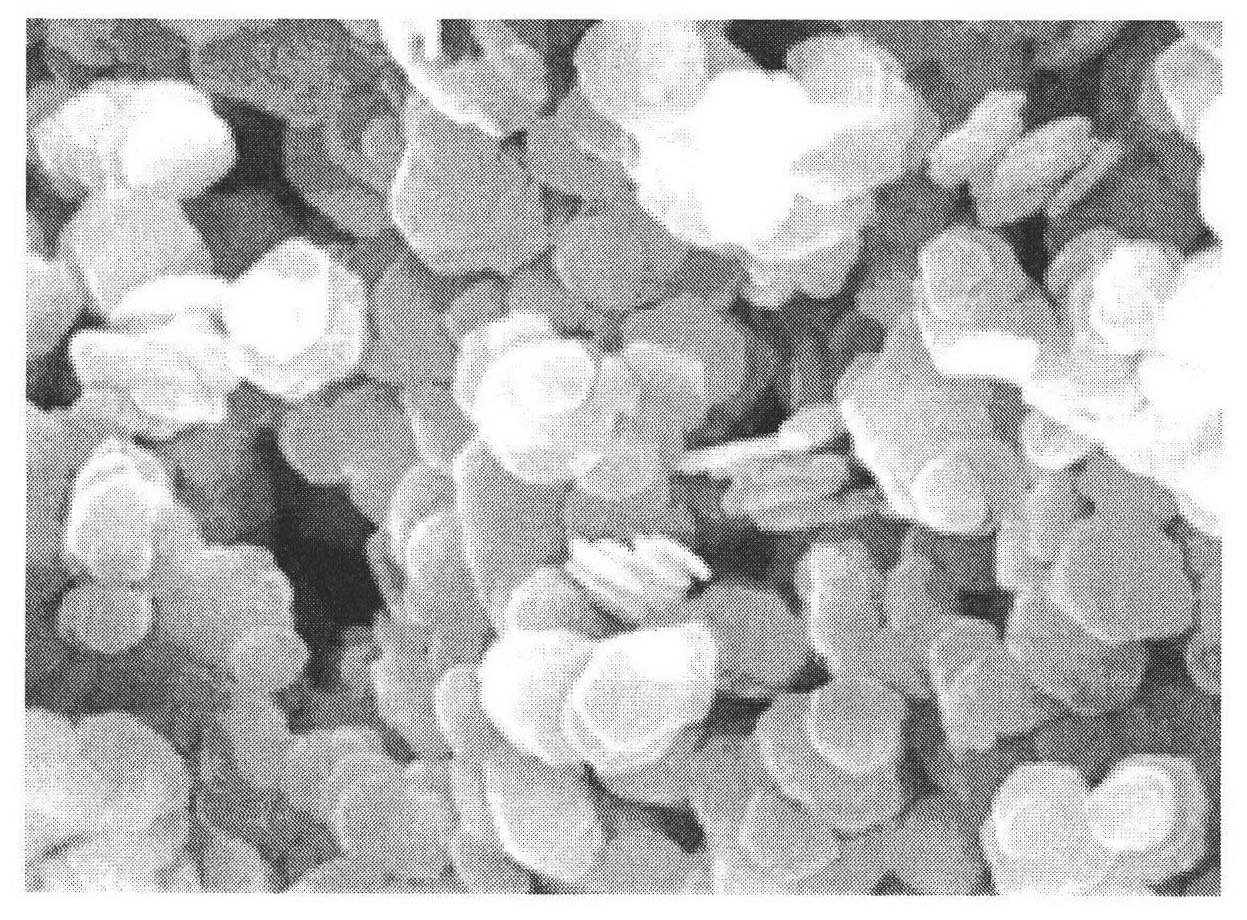 Method for preparing hydrotalcite