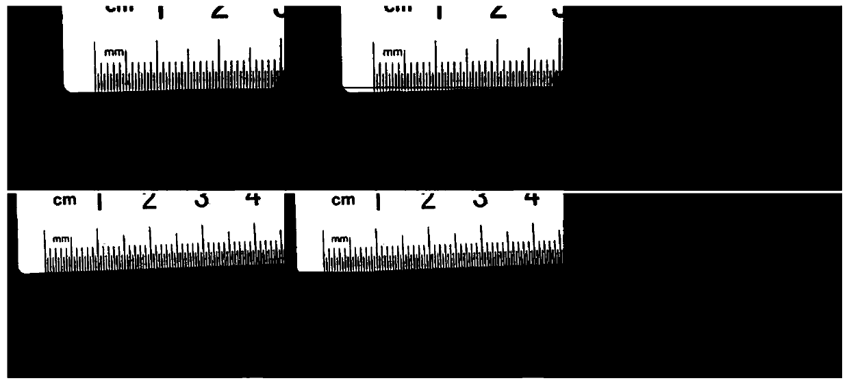 Rice blast grading system and method