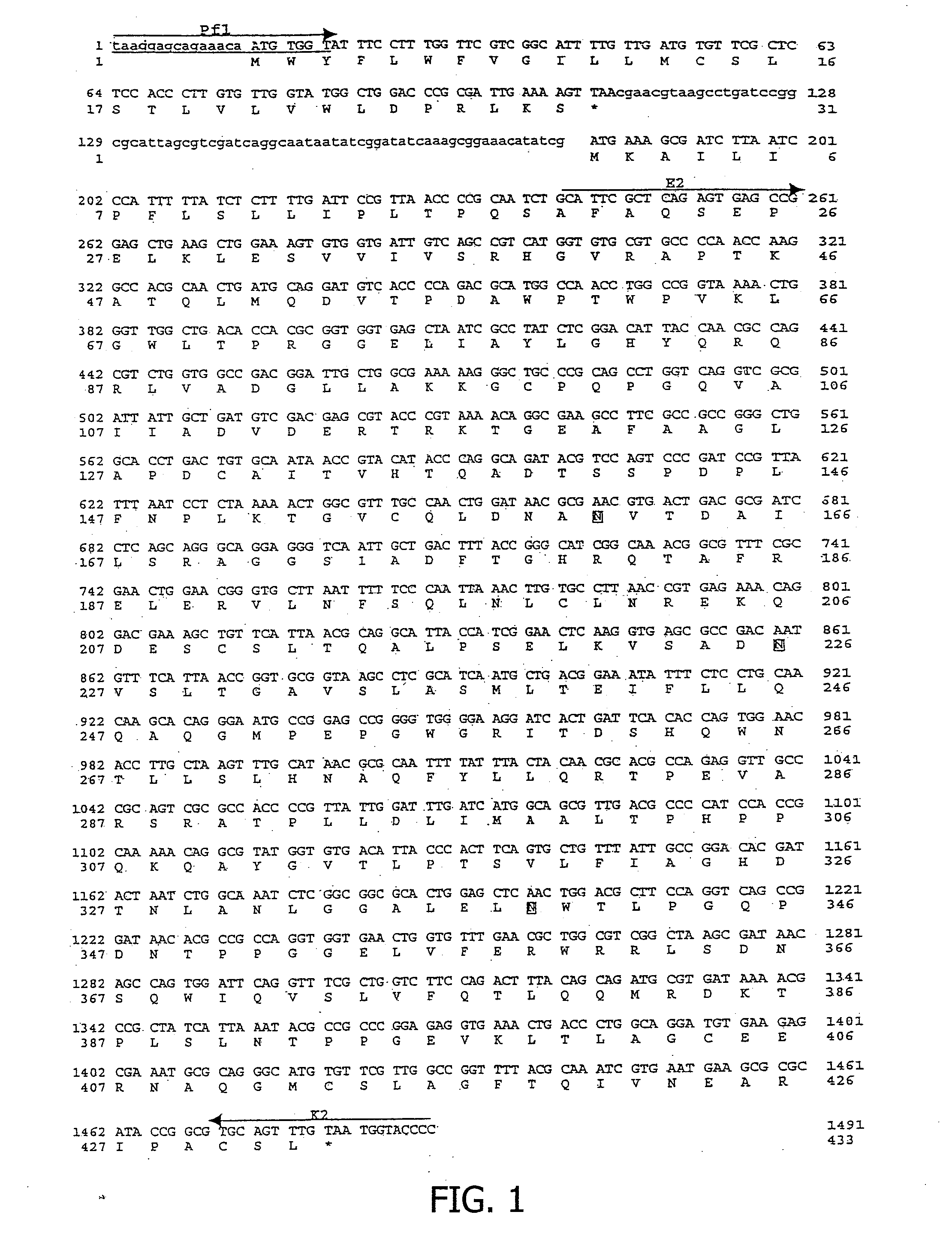 Phytase-containing animal food and method