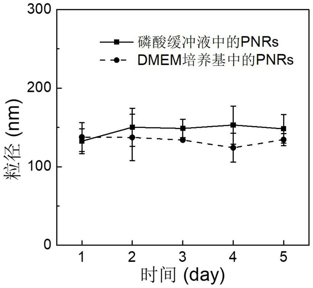 A Nitric Oxide and Cisplatin Co-delivery Polyprodrug Nanoparticles and Its Preparation and Application