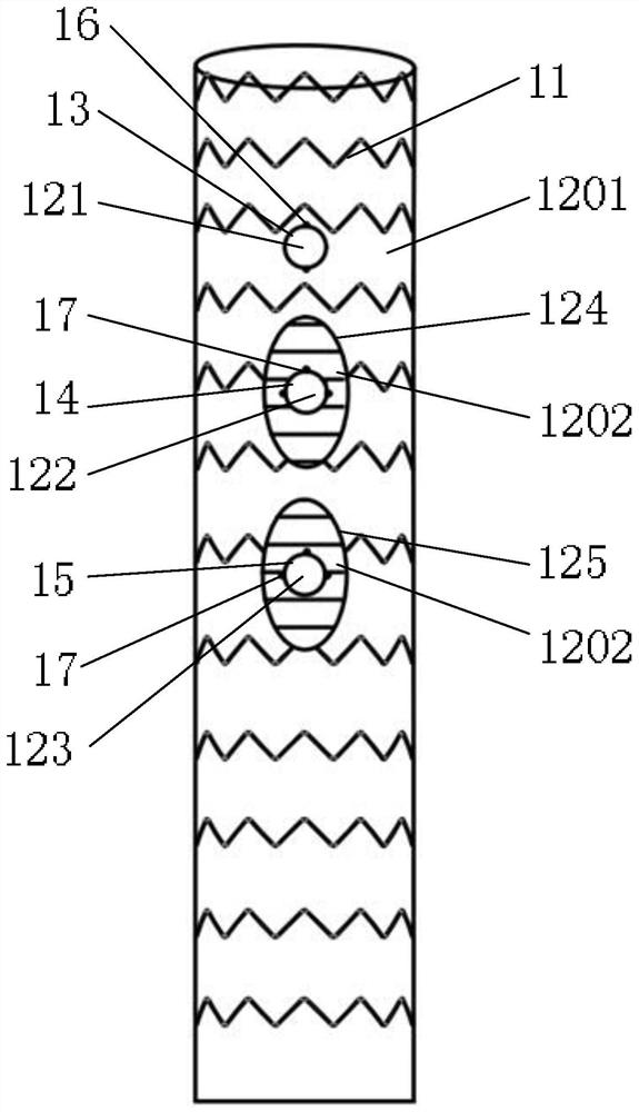 Aortic arch covered stent graft and its delivery device