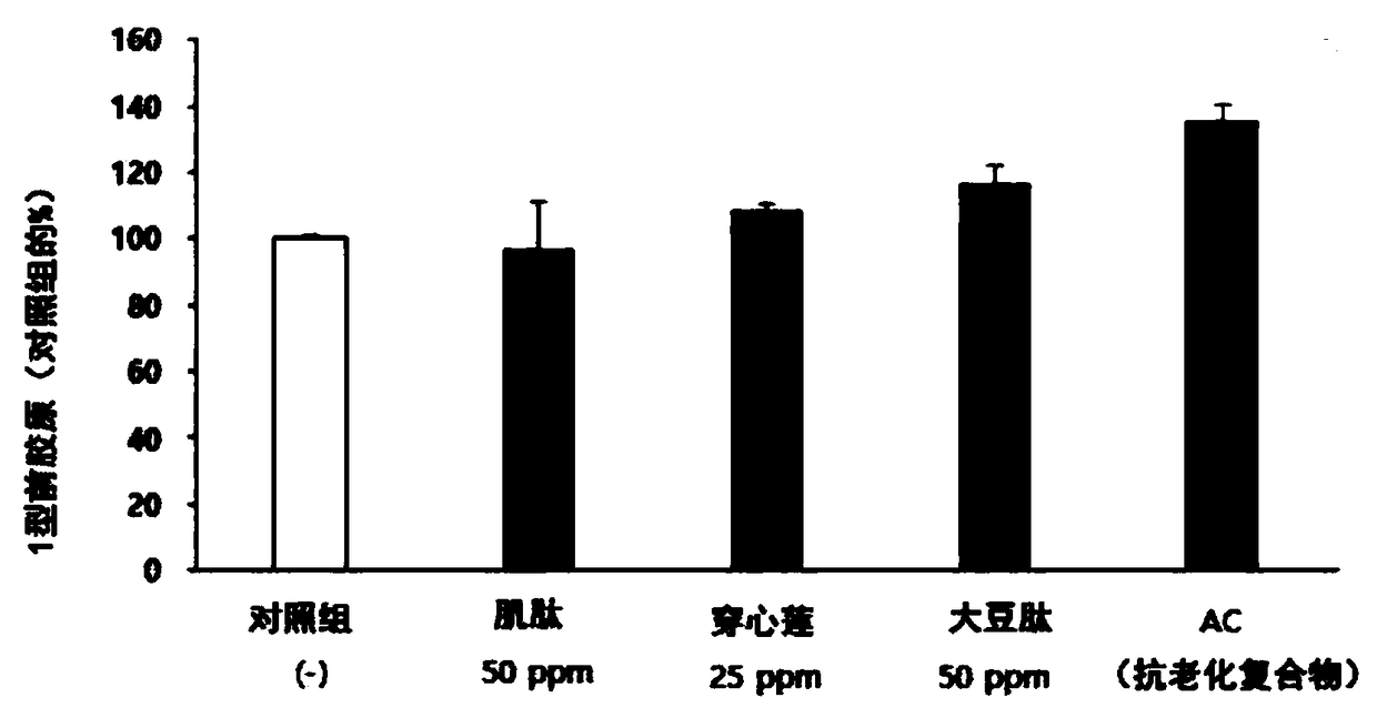 Anti-aging composition comprising carnosine, soy peptide, and andrographis paniculata extract