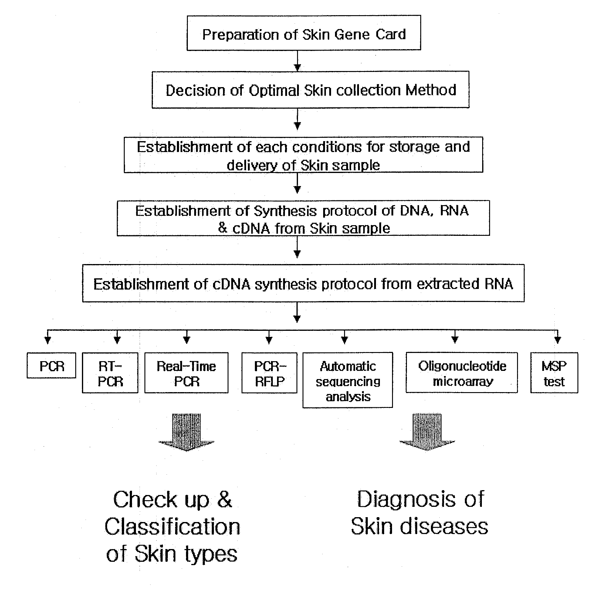 Skin Sampling Kit Which Stores Nucleic Acids In Stable Status, Genetic Test Methods By Using The Kit And Their Practical Application