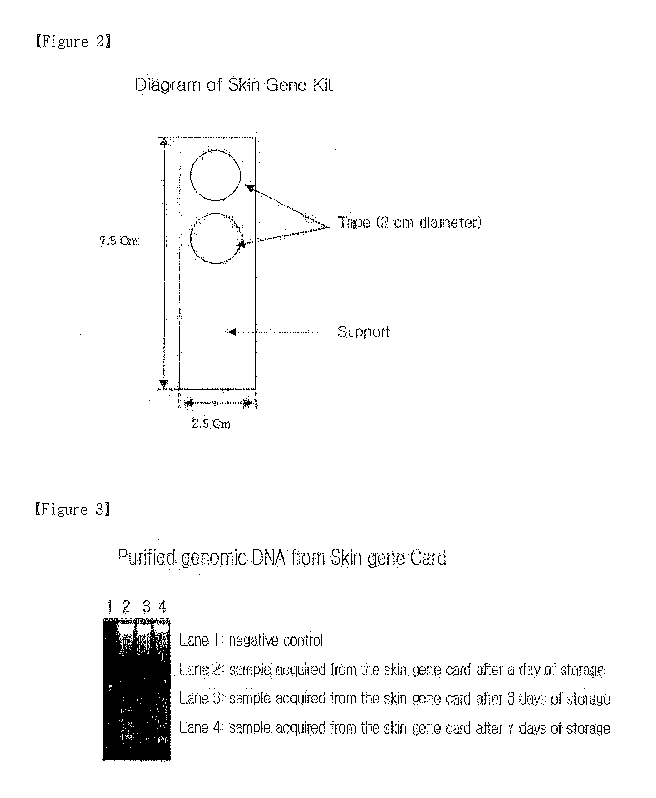 Skin Sampling Kit Which Stores Nucleic Acids In Stable Status, Genetic Test Methods By Using The Kit And Their Practical Application