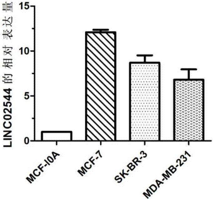 Application of gene marker in diagnosis and treatment of breast cancer