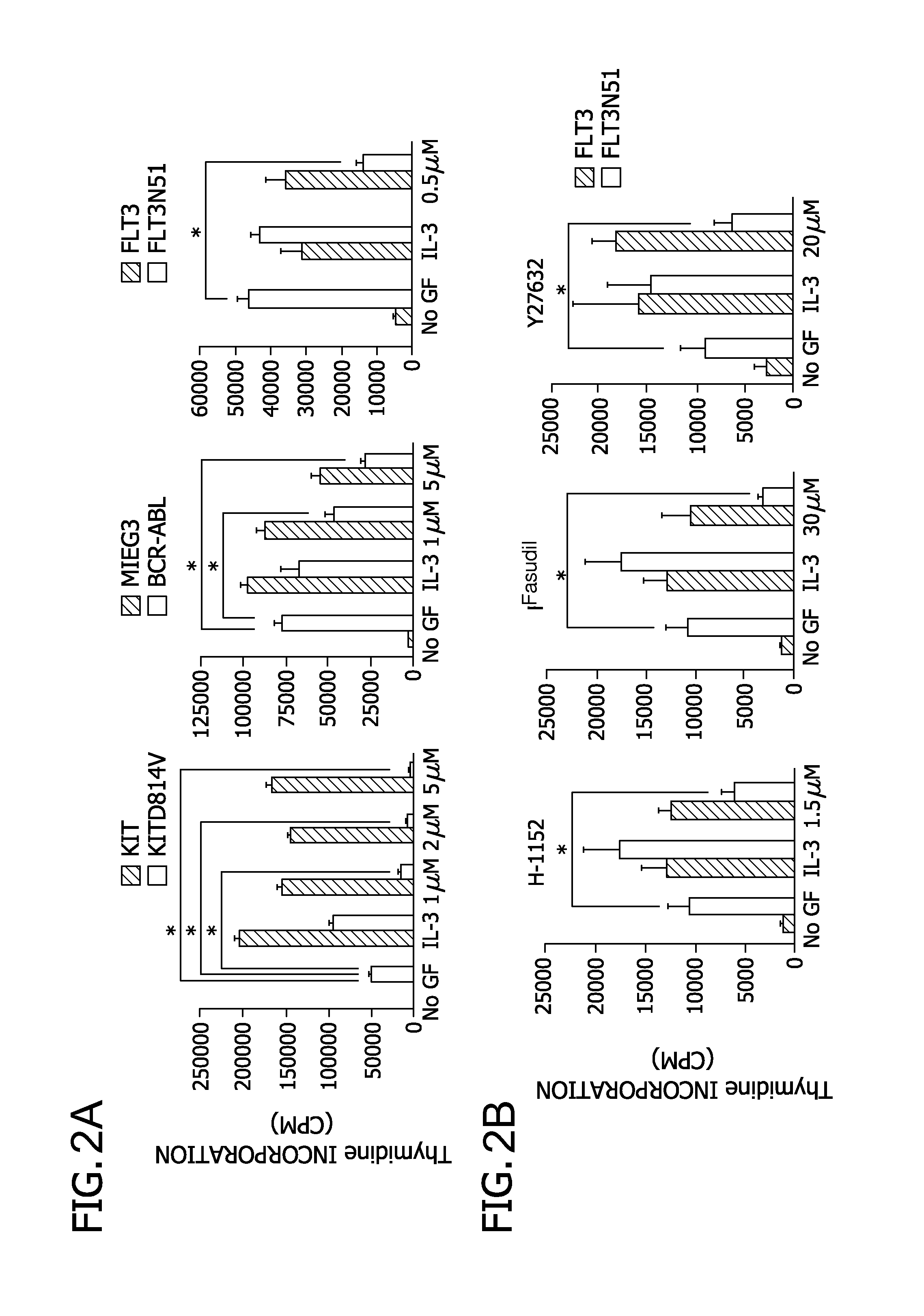 Rho kinase inhibitors for treatment of mastocytosis and acute myeloid leukemia