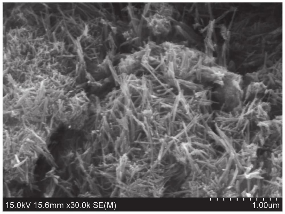 Silver ion pre-embedded manganese-oxygen-based nanowire as well as preparation method and application thereof