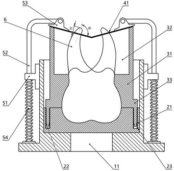 Auxiliary tool for intentional dental replantation