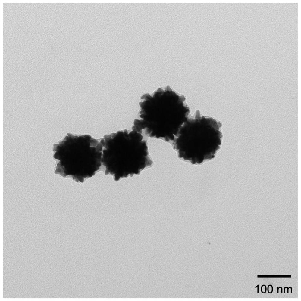 An enhanced photodynamic anti-tumor nano-drug loading system and its preparation method and application