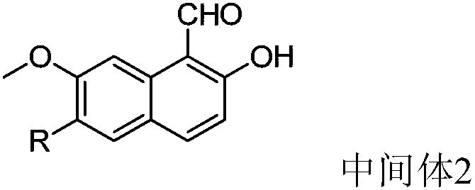 Preparation method of 2,3-dihydro-1H-benzo[f] chromane-2-amine derivative