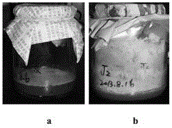 Preparation method and application of biological medium obtained by transforming rapeseed cake with Neurospora