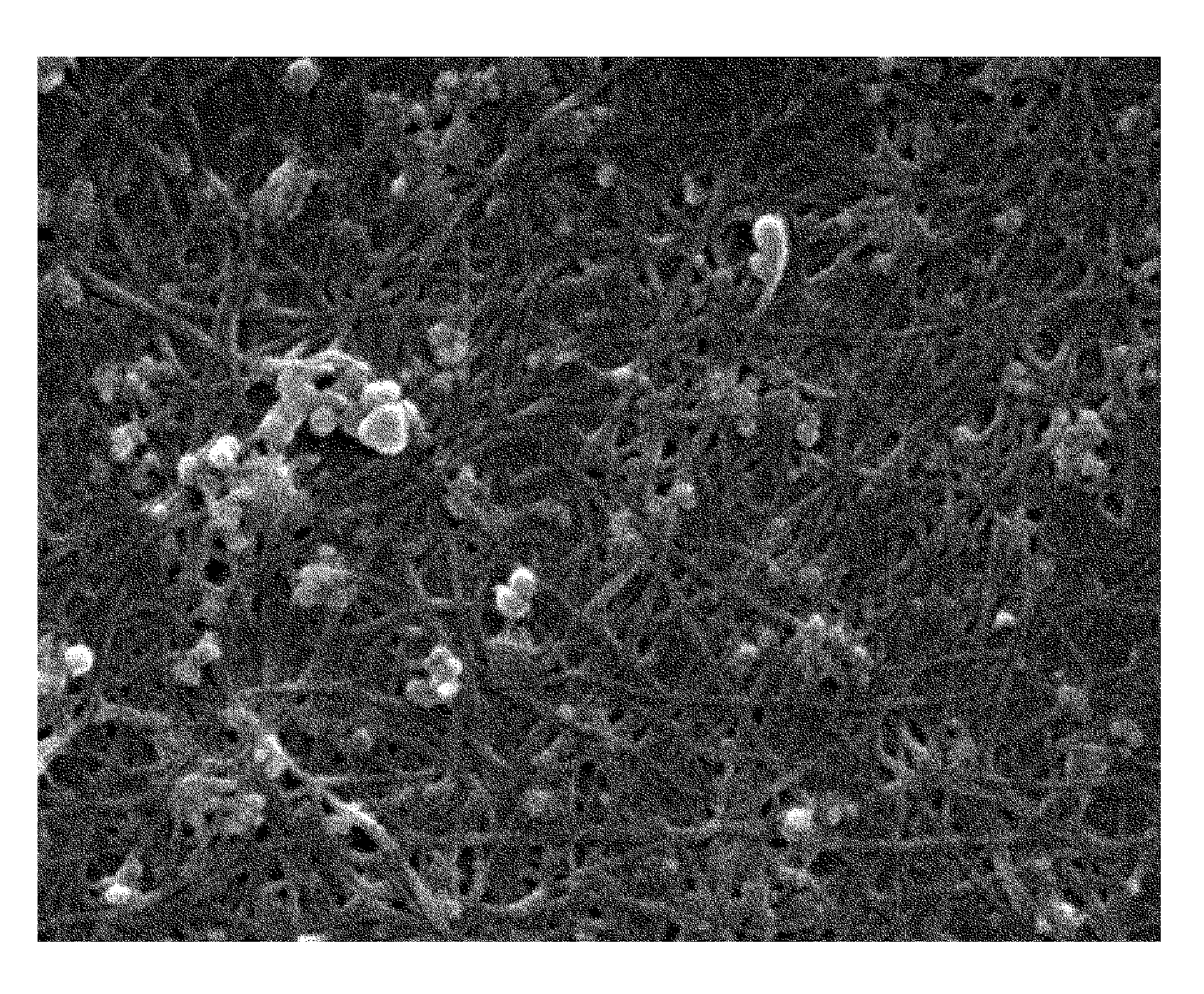 Polymer nanocomposite containing glass fiber coated with metal-carbon nanotube and graphite and method of preparing the same