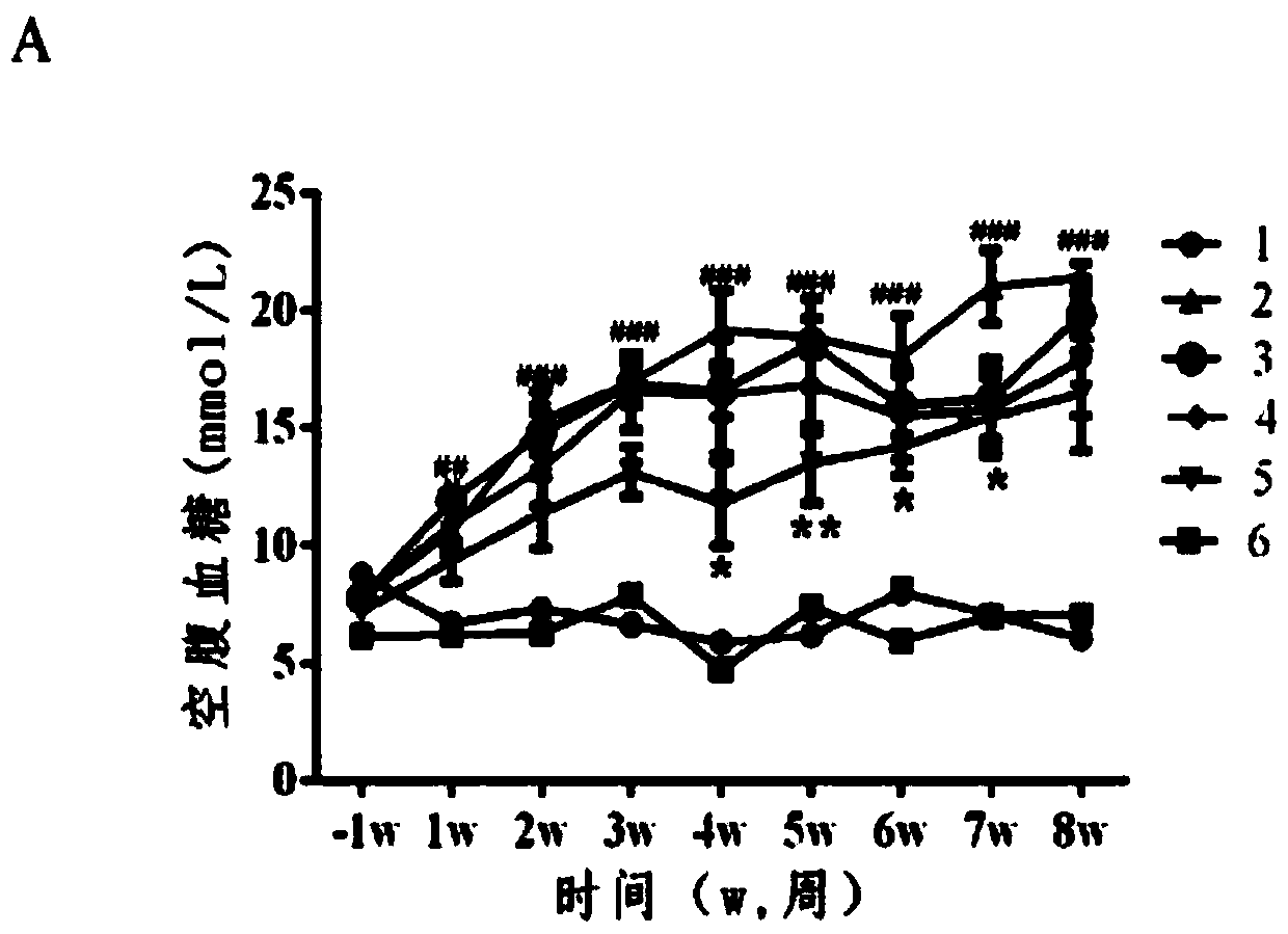 Nano-selenium bifidobacterium longum as well as preparation method and application thereof