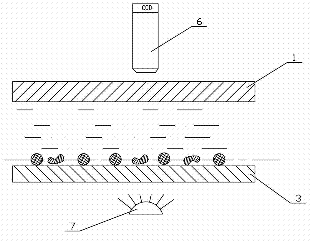 Urinary sediment counting chamber