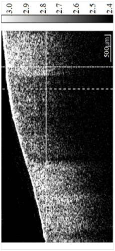 Indocyanine green-loaded carbon nanotube-mediated optical coherence tomography method and system