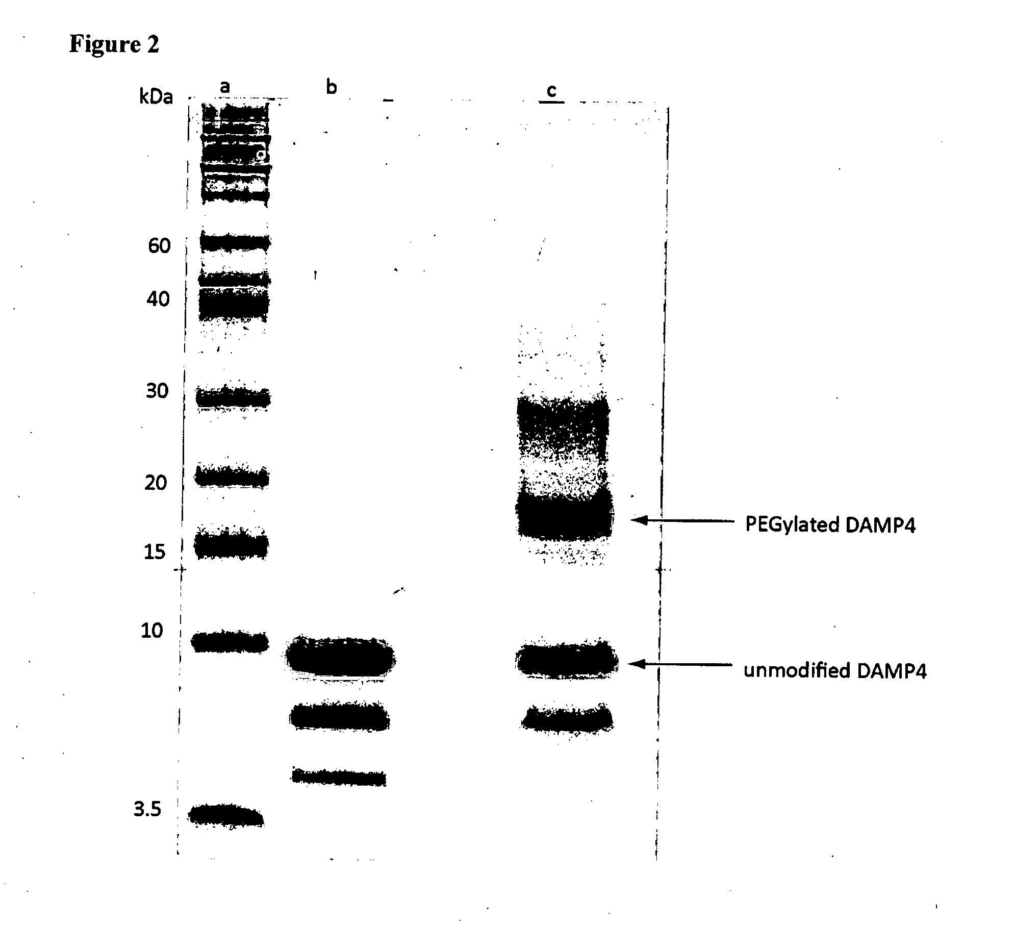 Nanoemulsions