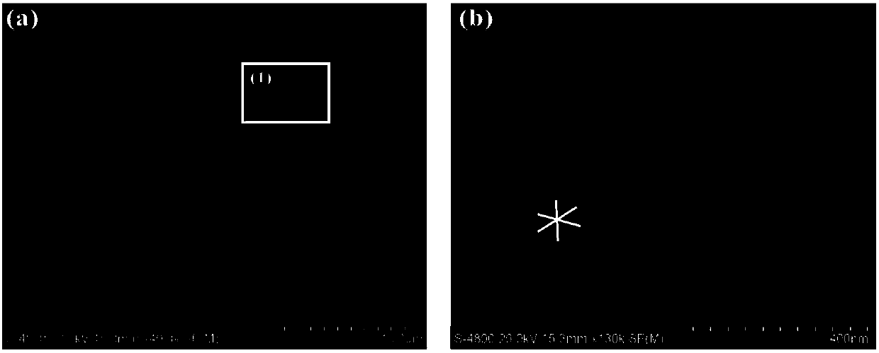 Preparation method of Nd-Fe-Co ternary alloy magnetic nanowire