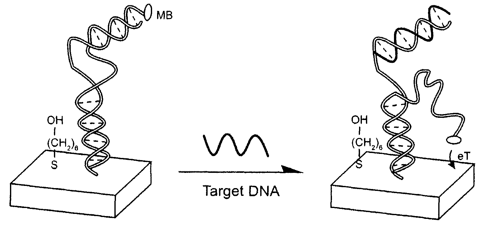 Signal-on architecture for electronic, oligonucleotide-based detectors