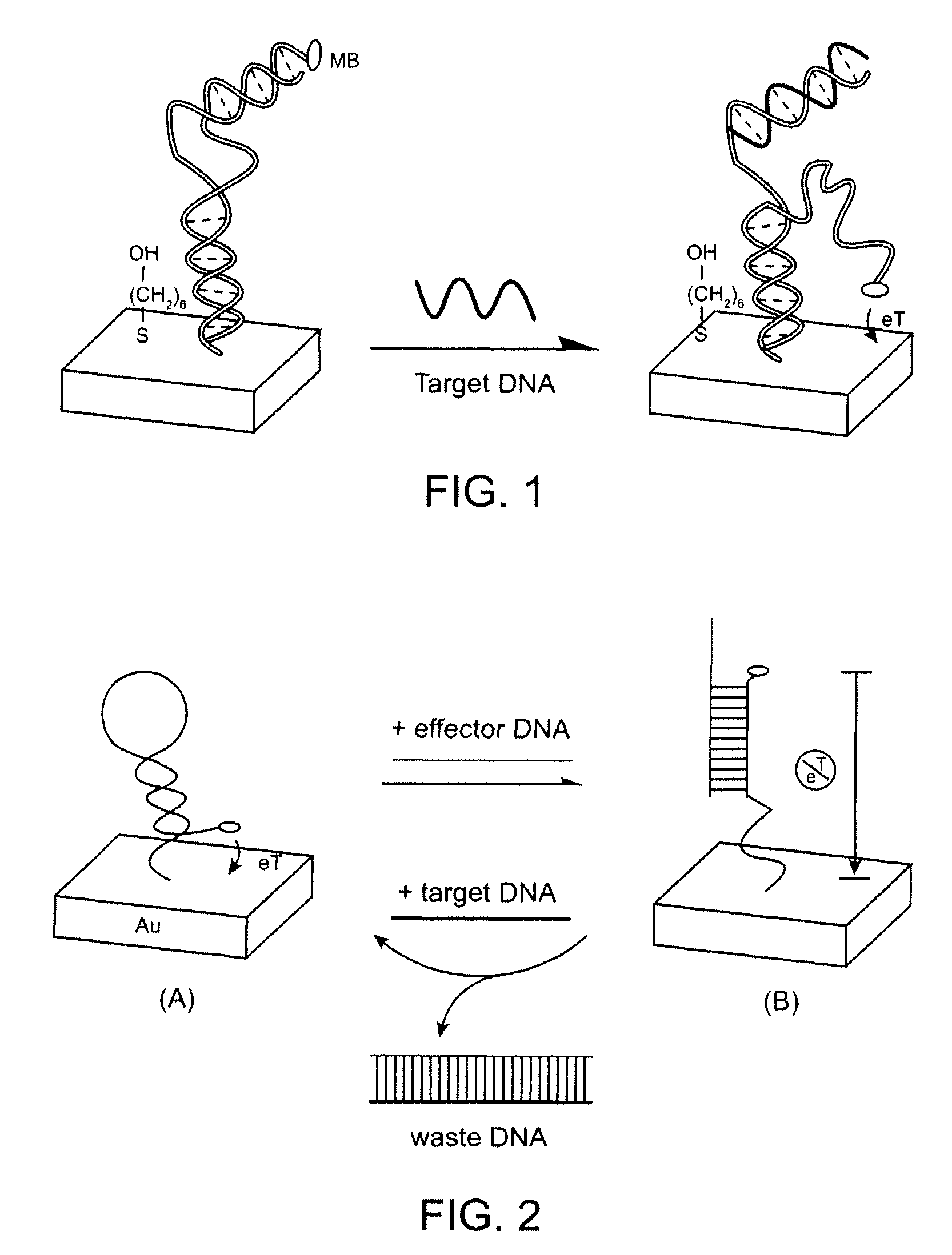 Signal-on architecture for electronic, oligonucleotide-based detectors