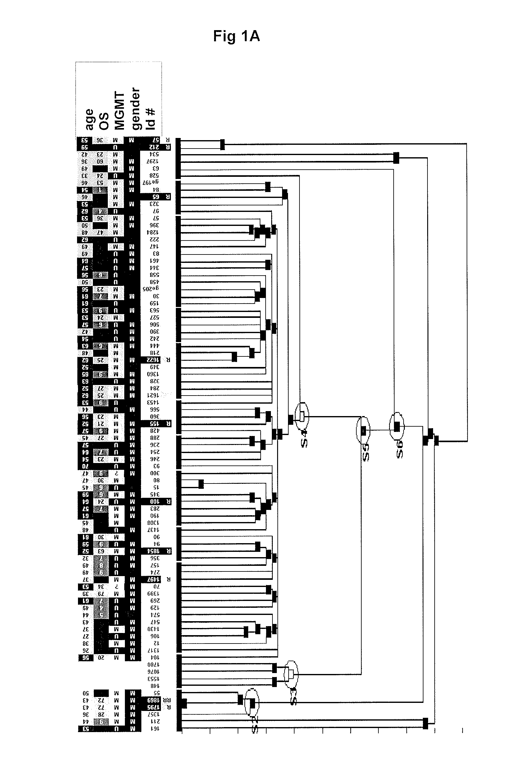 Method for predicting and diagnosing brain tumor