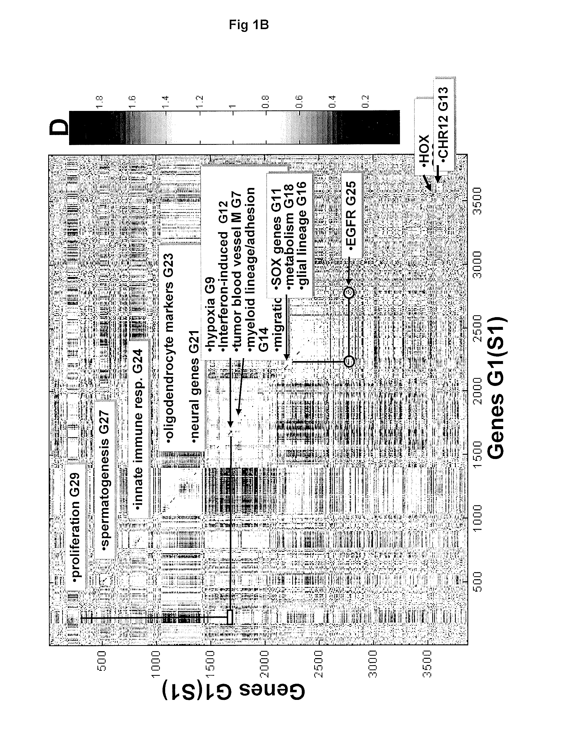 Method for predicting and diagnosing brain tumor