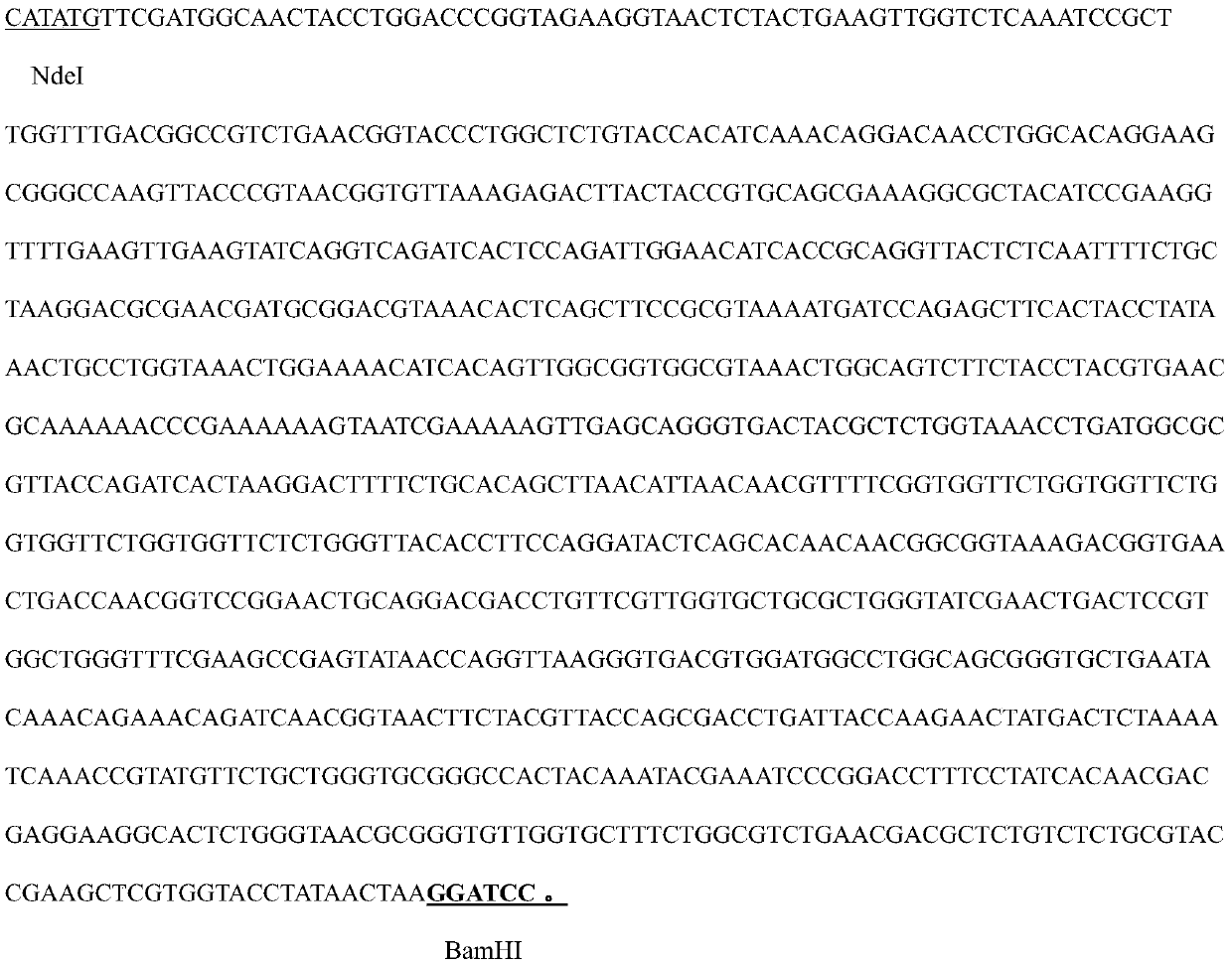 Acinetobacter baumannii infection fast detection method based on multiple epitope fusion antigens