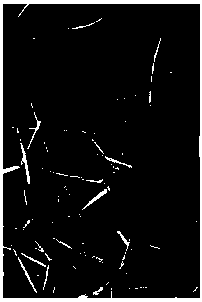 Method for establishing a photogrammetric grassland coverage measurement map library and a use method