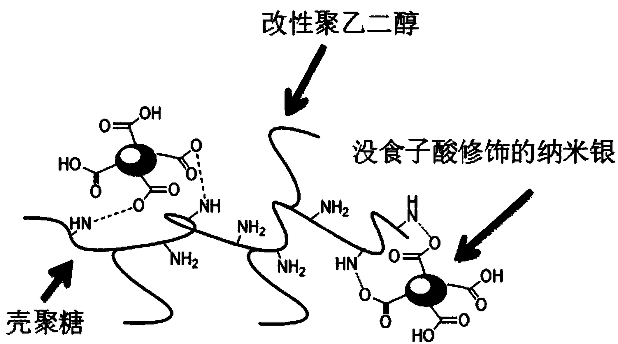 A kind of compound antibacterial coating material, preparation method and application thereof