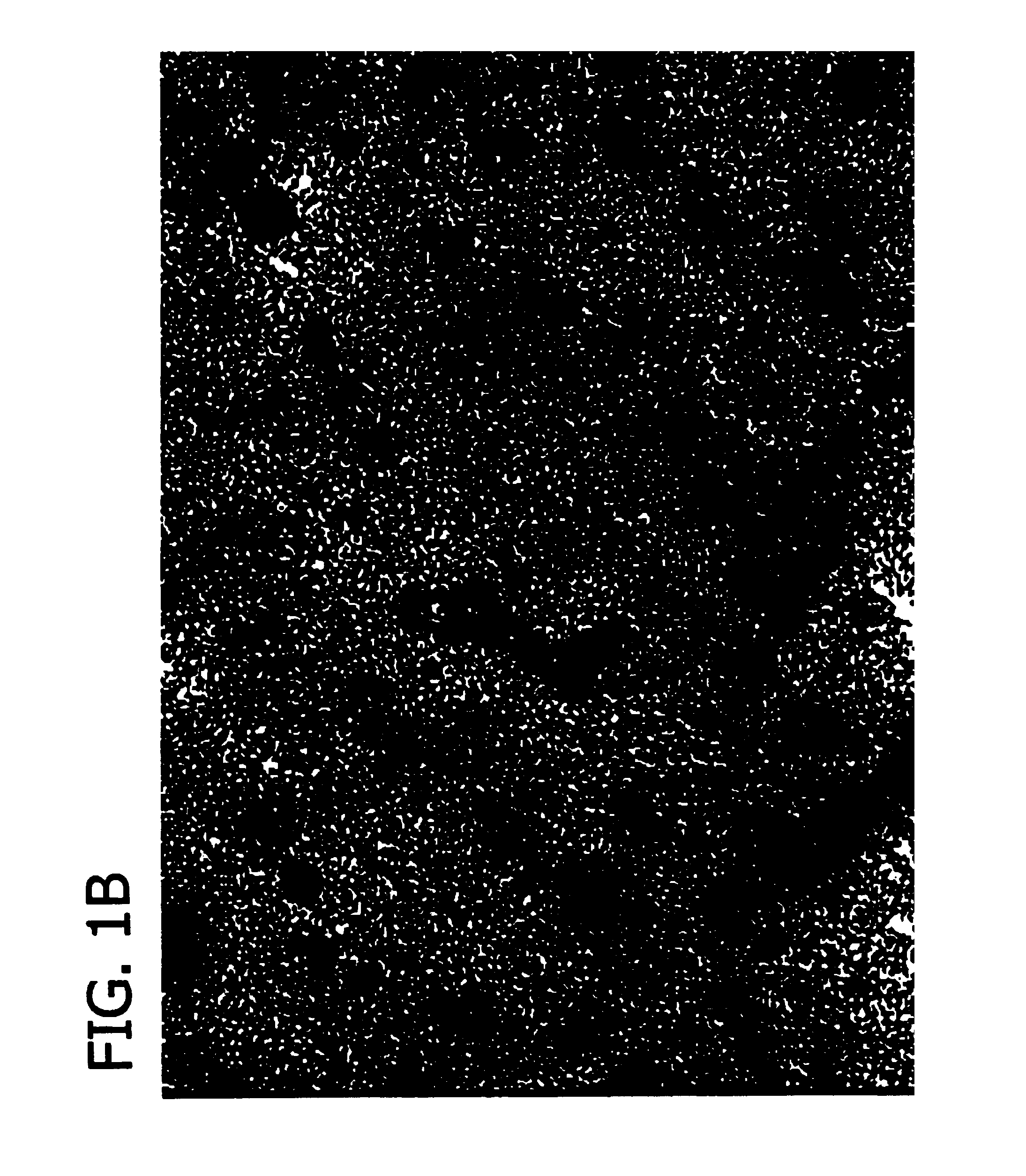 Potassium glyphosate formulations