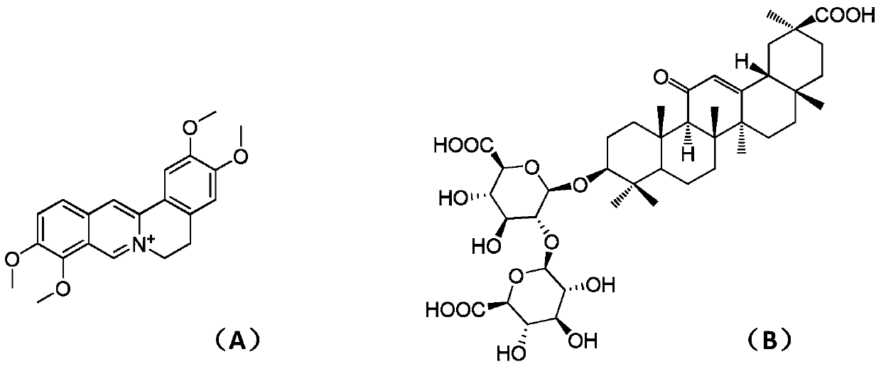 A drug combination for the treatment of type 2 diabetes and its complications