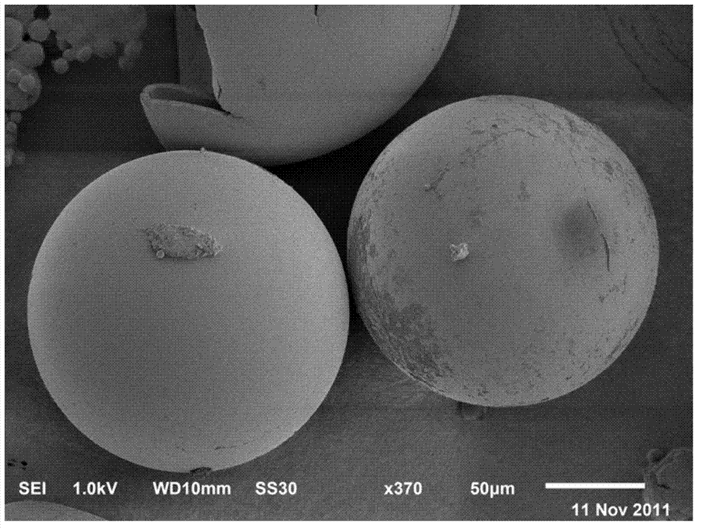 Preparation method for plastic hollow globule, and prepared product and application thereof