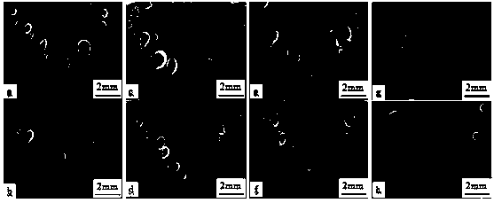 Welding method for reducing porosity in melting welding of die-cast magnesium alloy