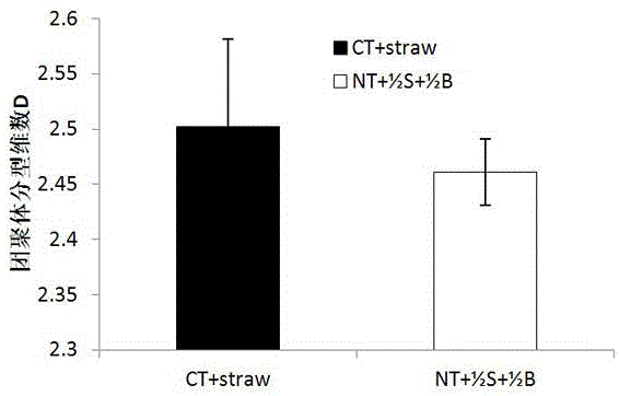 Method for improving sandy soil without tillage with straw in cooperation with biochar