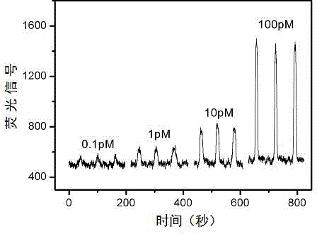 A detection method of an eccentric focusing laser-induced fluorescence detection device suitable for detection on a capillary column