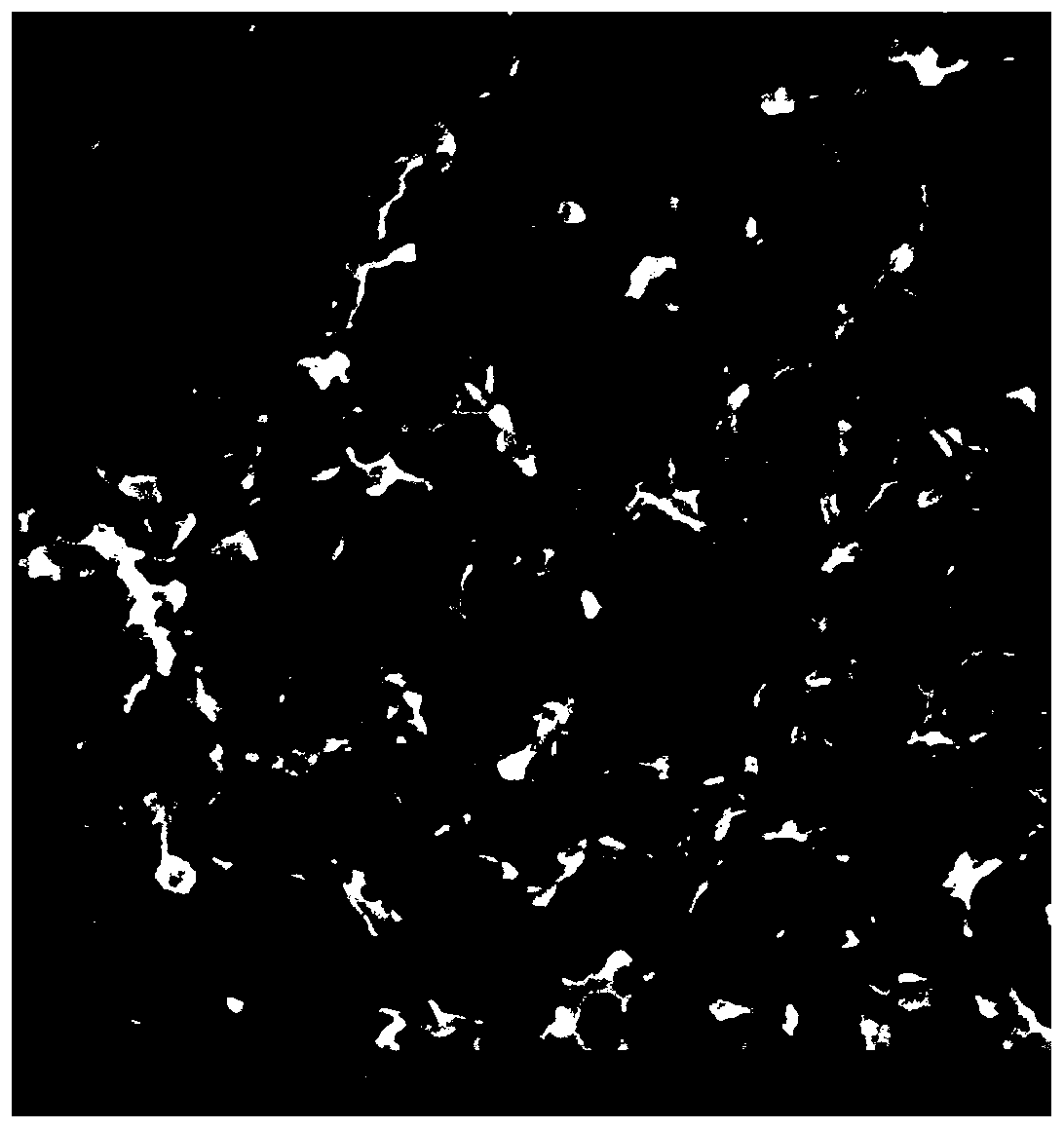 Holocellulos composite aerogel and preparation method thereof