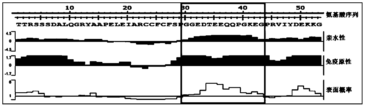 An antibody against serinc5 and its application