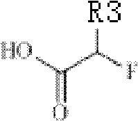 18/19F-ester nitroimidazole compound, preparation method thereof and application as hypoxic tissue developing agent