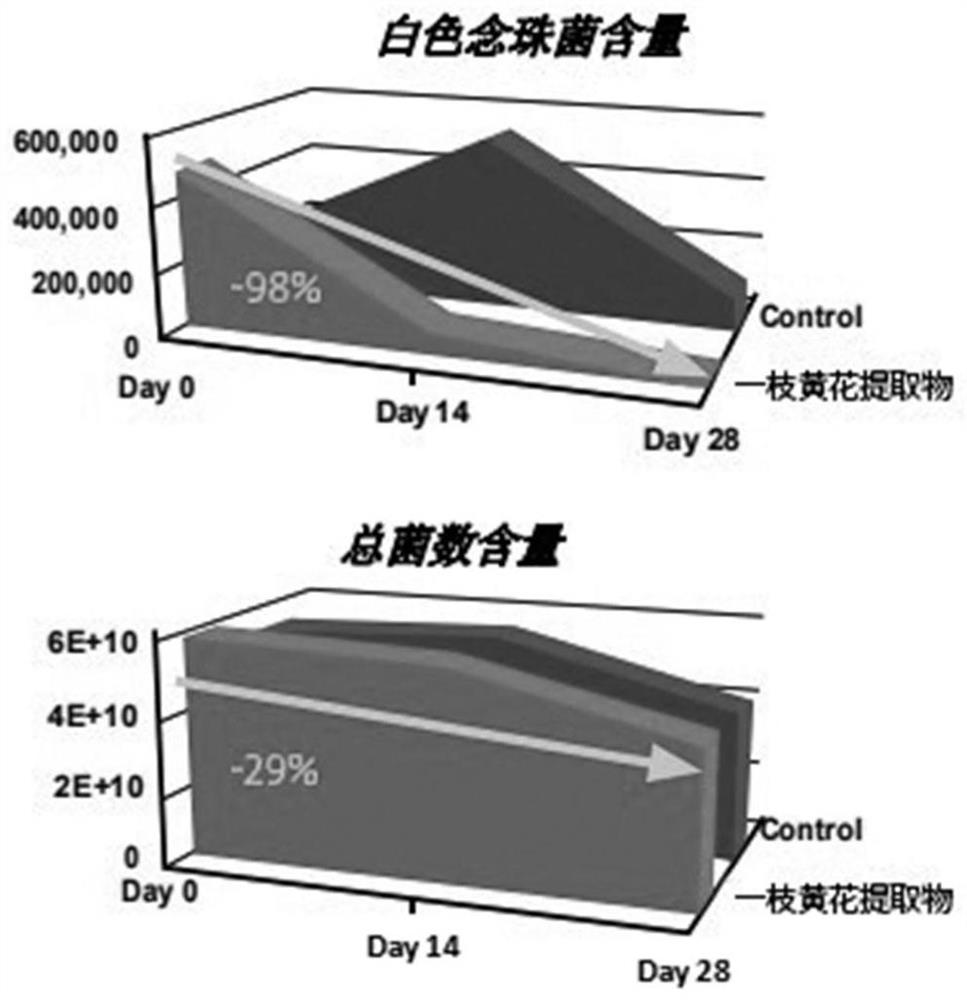 Oral care solution based on inhibition of microbial quorum sensing and preparation method of oral care solution