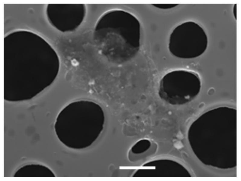 Anti-wear, anti-friction and stable-dispersion lubricating oil or lubricating grease and preparation method thereof