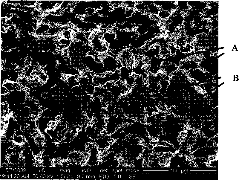 C/ZrC ceramic matrix composite and preparation method thereof