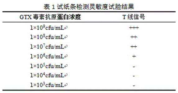 Anti-gonyautoxin GTX2,3 monoclonal antibody immuno-colloidal gold labeled test strip and preparation method thereof